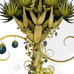 Schermafbeelding 2016-03-23 om 16.39.44.png