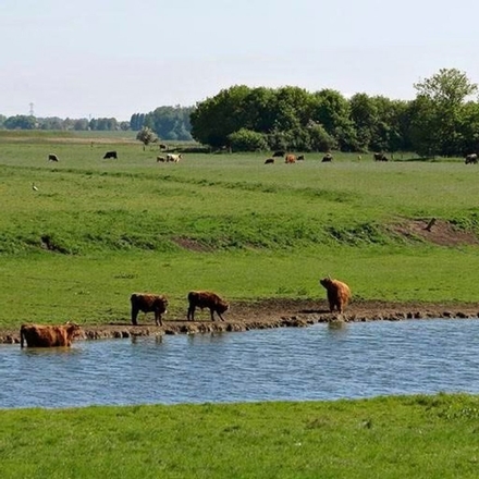 Unieke fotowandeling door de Tuin der Lusten