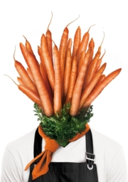 campagnebeeld zndr achtergrond