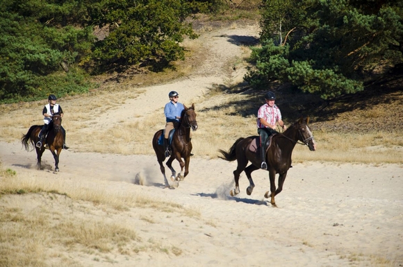 Nationaal Park De Loonse en Drunense Duinen