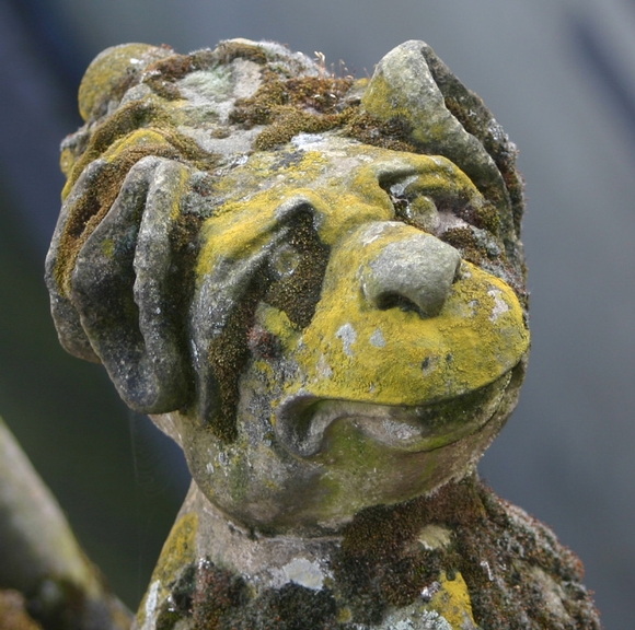 Een wonderlijke klim