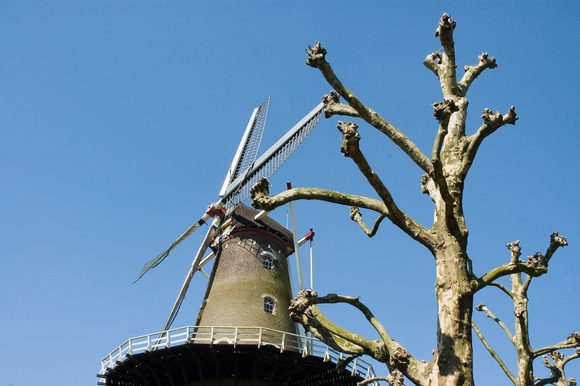Molen de Nijverheid